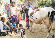 news-image