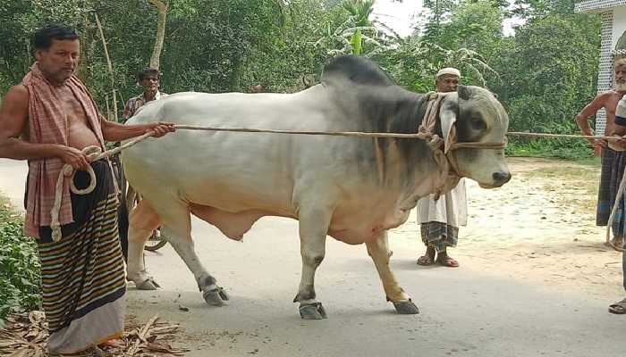 news-image