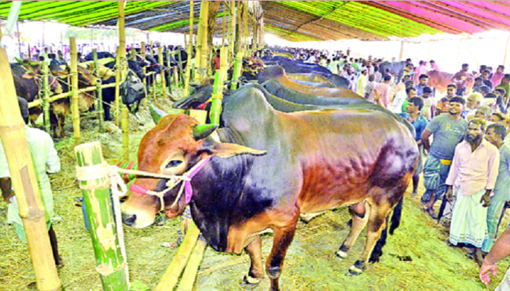 news-image
