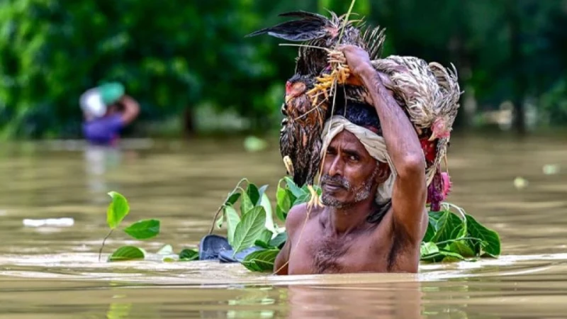 news-image